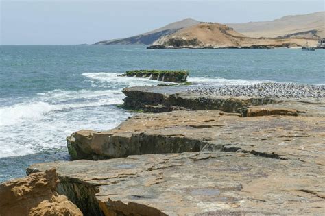 Paracas PERU, entree to a vast natural preserve on land and sea