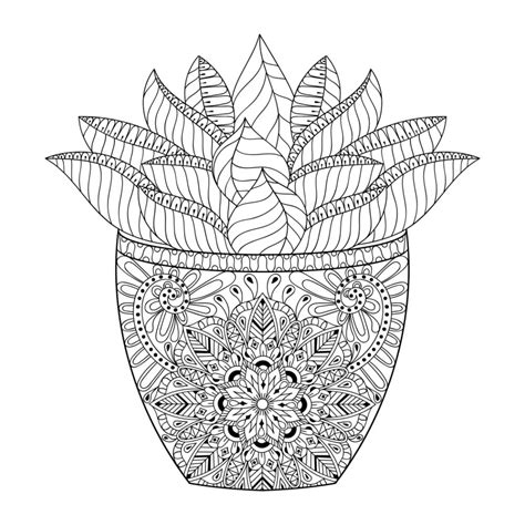 Aesthetic Coloring Pages Cactus Printable Cactus Coloring Pages For