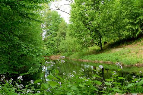 I Tu I Tam Y Aqui Y Alla W Ogrodzie Botanicznym W Powsinie Nie