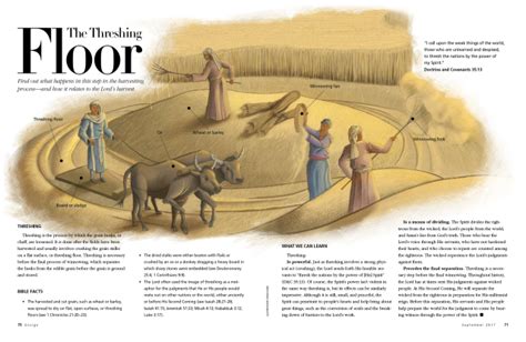 The Threshing Floor Threshing Floor Bible Stories Bible Context