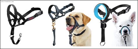 Top 10 Best Dog Head Halter Reviews For You My Trenditex