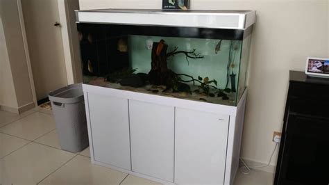 Aquarium Cleaners - Aquarium, Fish Tank Cleaning & Maintenance Kajang ...