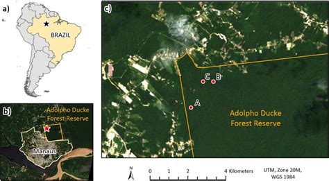 Map Showing Location Of A Manaus In Brazil B The Adolpho Ducke Download Scientific Diagram