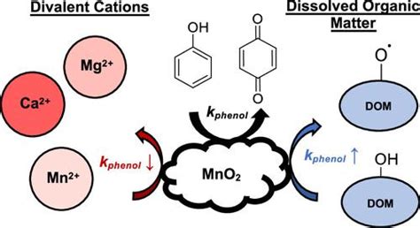 二价阳离子抑制和溶解有机物增强对锰氧化物氧化苯酚动力学的影响environmental Science And Technology X Mol