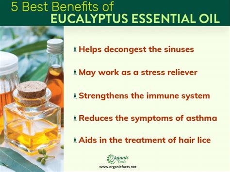 Health Benefits Of Eucalyptus Oil Organic Facts