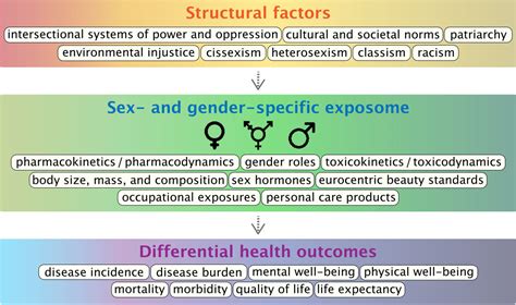 Figure 1 From Exposomics As A Tool To Investigate Differences In Health