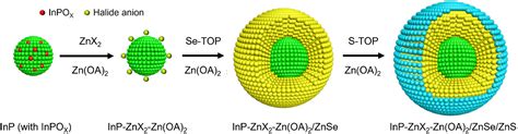 Unity Quantum Yield Of Inp Znse Zns Quantum Dots Enabled By Zn Halide