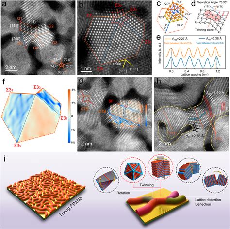 Microstructures Of Turing Stripes With High Density Defects And Lattice