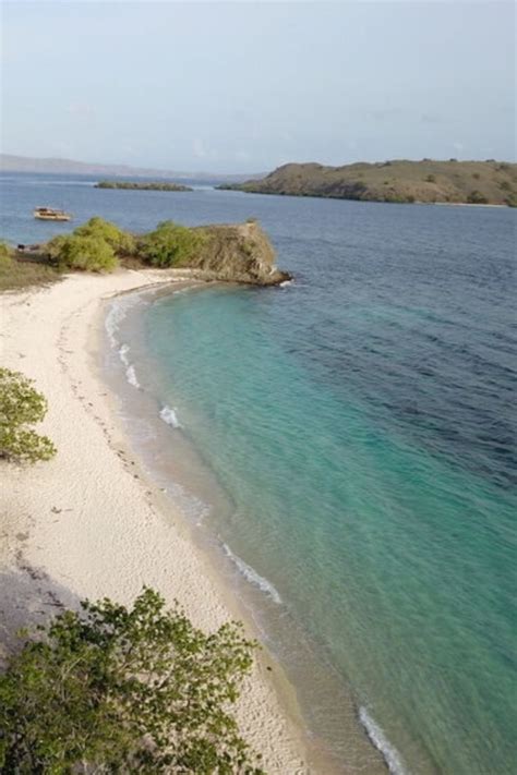 Ultimate Labuan Bajo Guide Everything You Need To Know Artofit