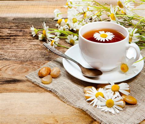 Camomile Tea Tea Camomile Herbal Flowers Cup Hd Wallpaper Pxfuel