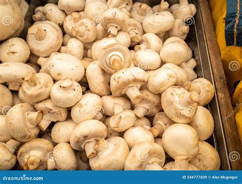 Boxes Of Mushrooms On Display Stock Image Image Of Crate Health