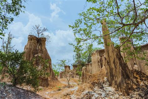 El Paisaje Hermoso De Corrientes A Trav S De La Tierra Tiene La Erosi N