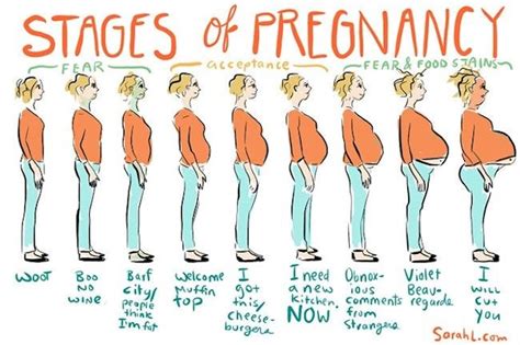 26 Hilarious Pregnancy Memes You Ll Get A Kick Out Of