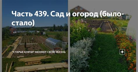 Часть 439. Сад и огород (было-стало) | "Старые клячи" | Дзен