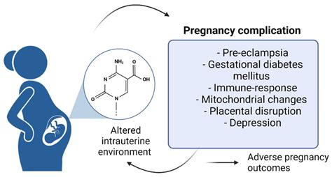 Epigenetics And Pregnancy Conditional Snapshot Or Rolling Event