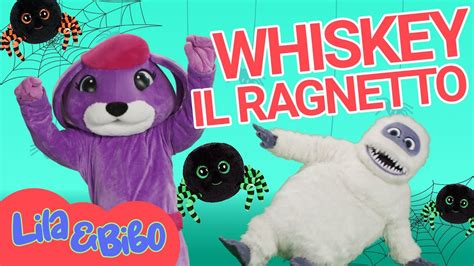 Whiskey Il Ragnetto Babydance E Canzoni Per Bambini Lila Bibo