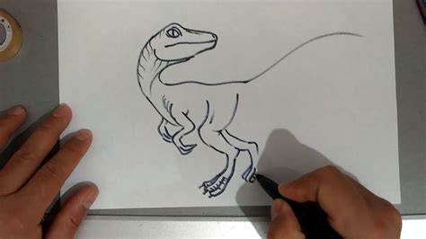 Dinazor Çizimi how to draw a dinosaur her çeşit dinazor bu kanalda