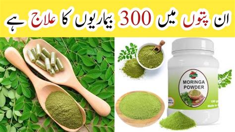 Moringa Benefits How To Use Moringa Powder Or Leaves Sohanjna Ke