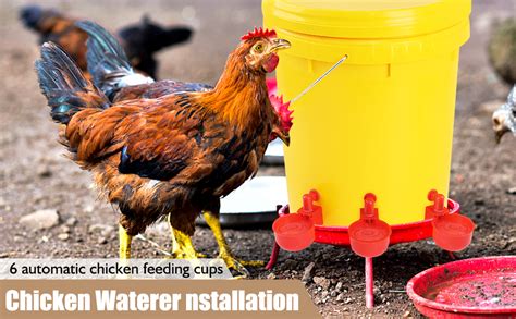 Amazon.com: Chicken Feeders and Chicken Waterer Set,6 Ports with 6 Chicken Water Cups for ...