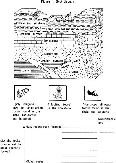 Determining Age Of Rocks And Fossils Worksheets Library