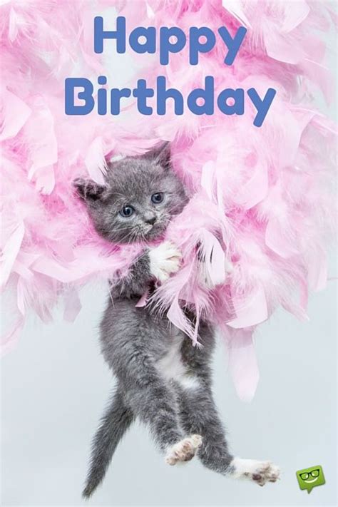 104 Great Happy Birthday Images For Free Download And Sharing Happy