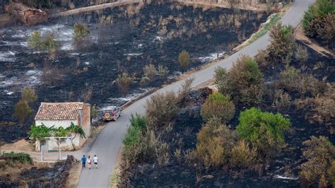 Aprobada La Solicitud De Zona Catastrófica Para El área Afectada Por El