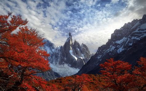 Download Wallpaper Autumn Forest Mountains Andes Section Landscapes