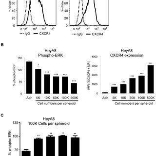 ERK Inhibition And 3D Spheroids Increased NFAT Transactivation HeyA8