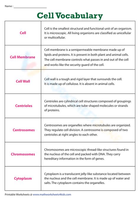 Cell Vocabulary Quiz Online Exercise For Live Worksheets Worksheets