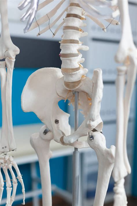 What is Sacroiliac Joint Dysfunction | Princeton Orthopaedic Associates