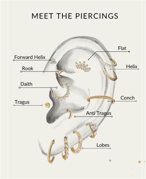 Pin By Kathryn On Jewelry Piercings Ear Piercings Cool Ear Piercings