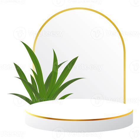 White And Gold D Podium With Tropical Leaf And Golden Arch Perfect For