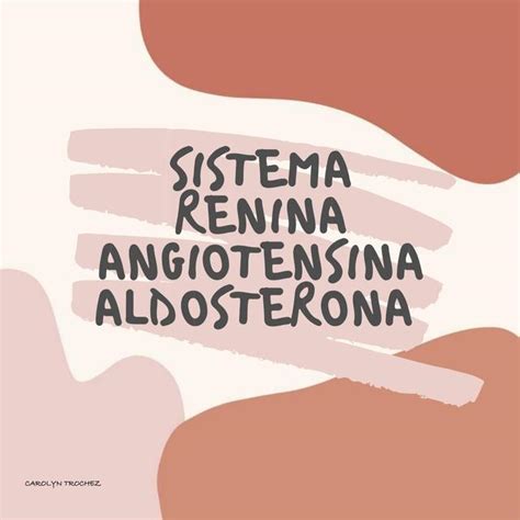 Sistema Renina Angiotensina Aldosterona Carolyn Trochez Udocz