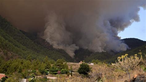 Incendio Tenerife Se Recomienda El Uso De Mascarillas En Varios Municipios Por El Incendio De