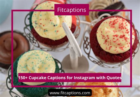 150 Funny Cupcake Captions For Instagram With Quotes