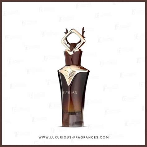 Elysian High Quality Unisex Fragrance French Avenue