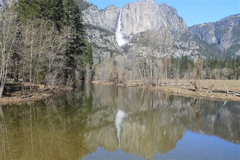 El Capitan Yosemite Baum Kostenloses Foto Auf Pixabay Pixabay