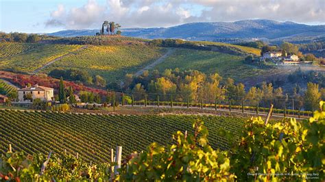 HD wallpaper: Chianti Classico Vineyards in Autumn, Tuscany, Italy, Europe | Wallpaper Flare