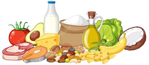Premium Vector The Five Food Groups Isolated