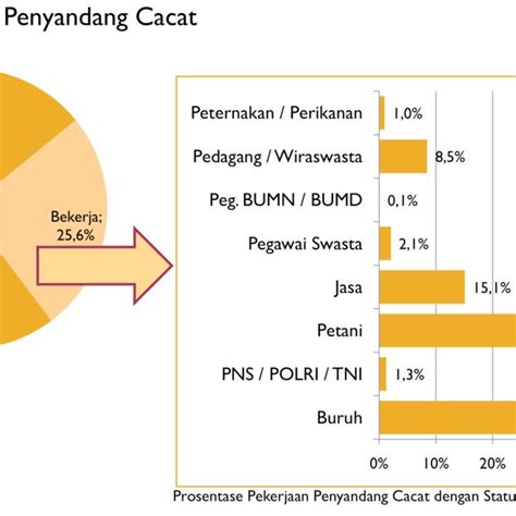 PDF Analisis Situasi Penyandang Disabilitas Di Indonesia Sebuah Desk