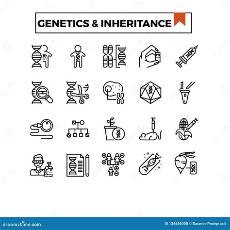 Inheritance Law Outline Icon Simple Linear Element Illustration Isolated Line Inheritance Law