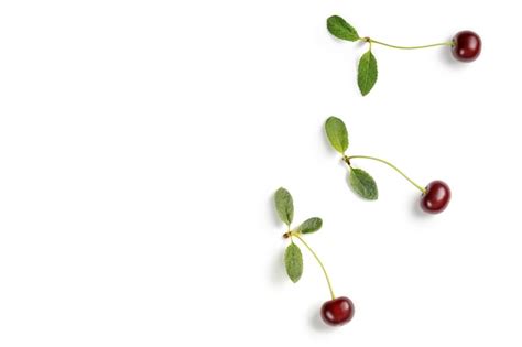 Cereza Aislada Sobre Fondo Blanco Cerezas Aisladas Con Hojas Frescas