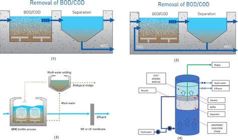 Biofilm In Moving Bed Biofilm Process For Wastewater Treatment IntechOpen