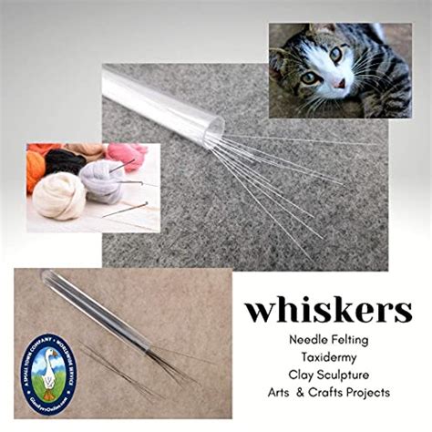 Cat Whiskers In Art A Surprising Source Of Inspiration For Artists