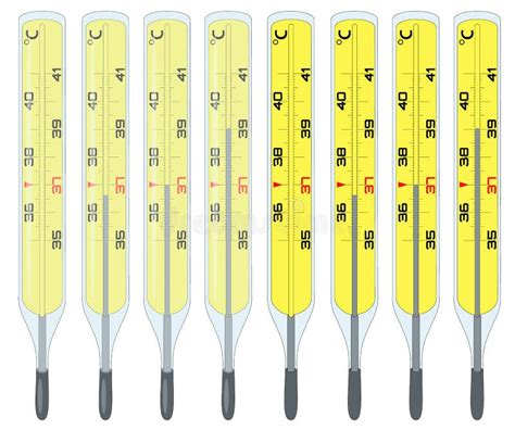 Termómetro Para Medir La Temperatura Corporal Escala De Medida Celsius Ilustración Del Vector