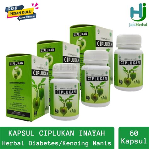 PAKET 3 Kapsul Ciplukan Inayah 60 Kapsul Ekstrak Herbal Kesehatan