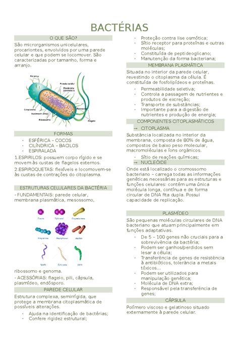 Resumo sobre bactérias Agentes Agressores e de Defesa Veterinária I