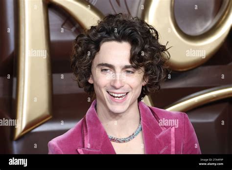 Timothée chalamet wonka immagini e fotografie stock ad alta risoluzione