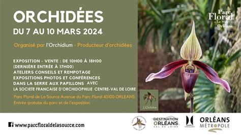 Exposition Dorchid Es Parc Floral Orl Ans Mars F F O