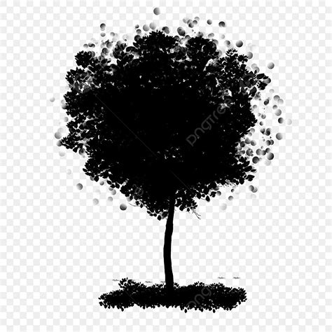 Poplar Tree Silhouette Vector Png Black Poplar Tree Silhouette Black